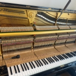 Thumbnail of post image 197