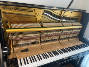 Thumbnail of post image 043