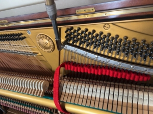 Thumbnail of post image 104