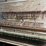 Thumbnail of post image 196