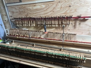 Thumbnail of post image 197