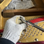 Thumbnail of post image 199